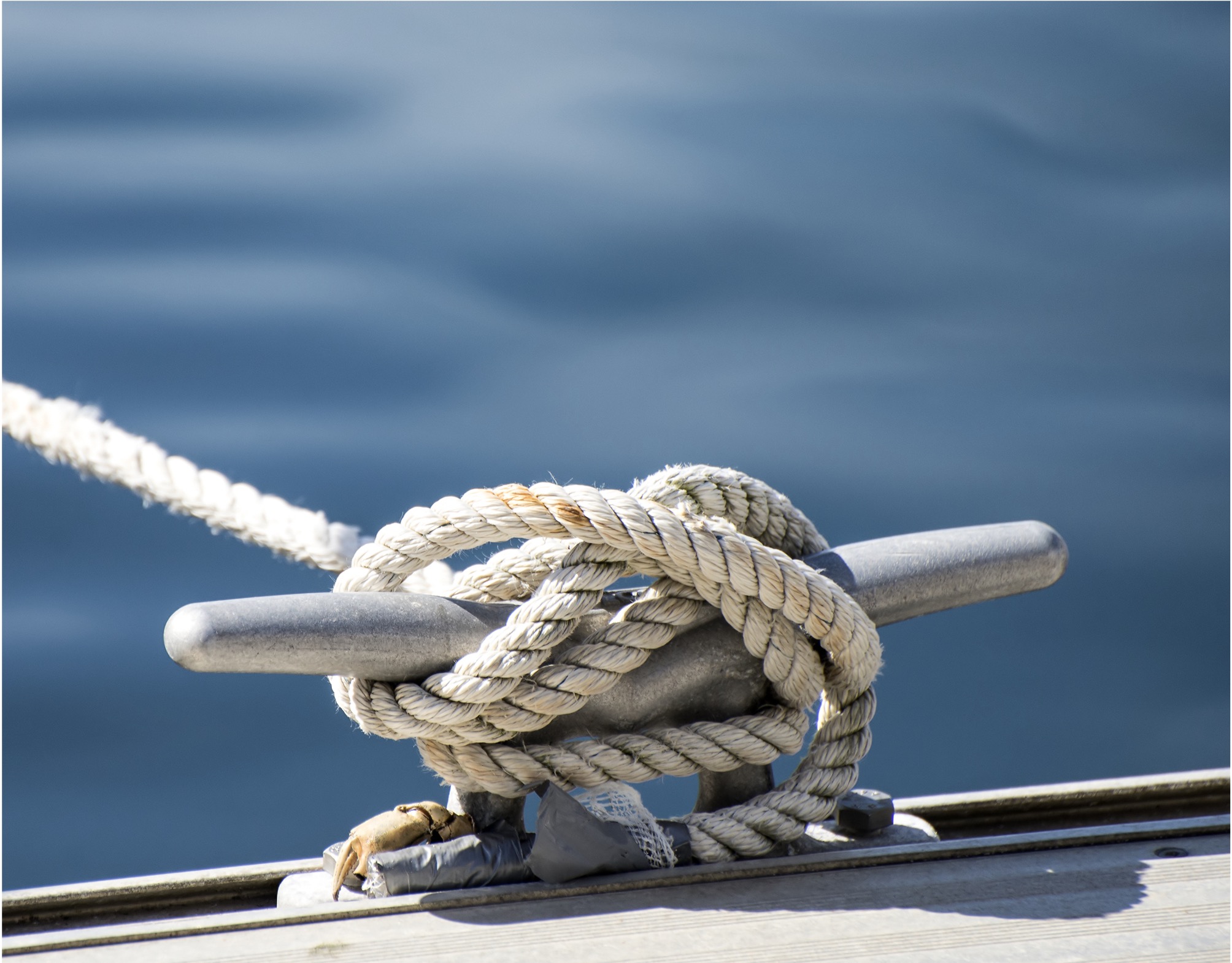 Ihr verlässlicher Partner in der digitalen Welt.